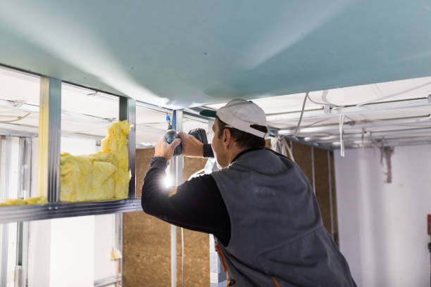Best Crawl Space Insulation  in Three Rivers, TX