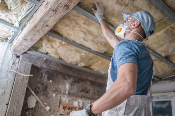 Best Spray Foam Insulation  in Three Rivers, TX