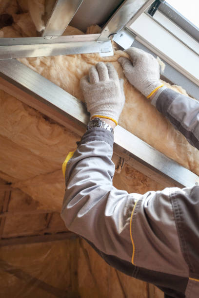 Best Insulation Contractor Near Me  in Three Rivers, TX