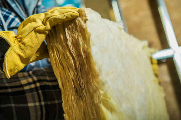 Best Insulation Repair Services  in Three Rivers, TX