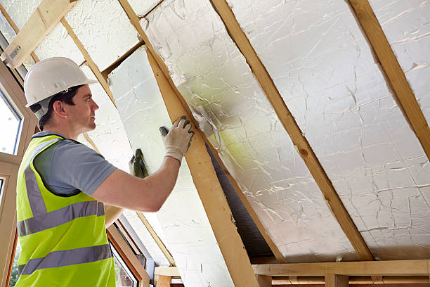 Best Spray Foam Insulation  in Three Rivers, TX