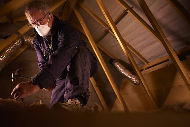 Best Energy-efficient Insulation  in Three Rivers, TX